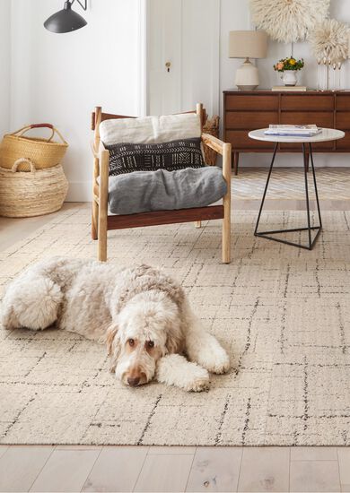Best Rugs That Are Pet Friendly 