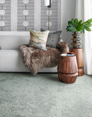 Pet Friendly Rugs For A Clean House - DodoWell - The Dodo