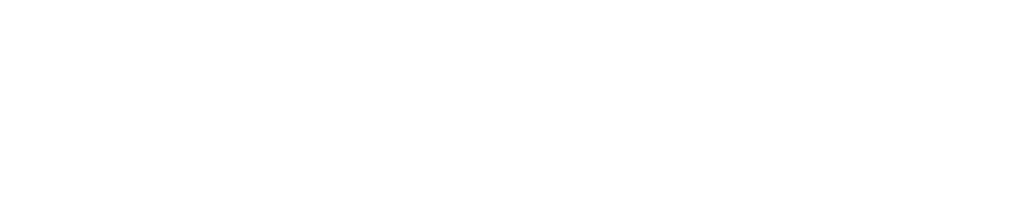 FLOR | Make-A-Wish Logo